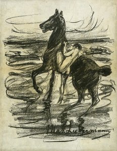 在海滩上的裸体骑手